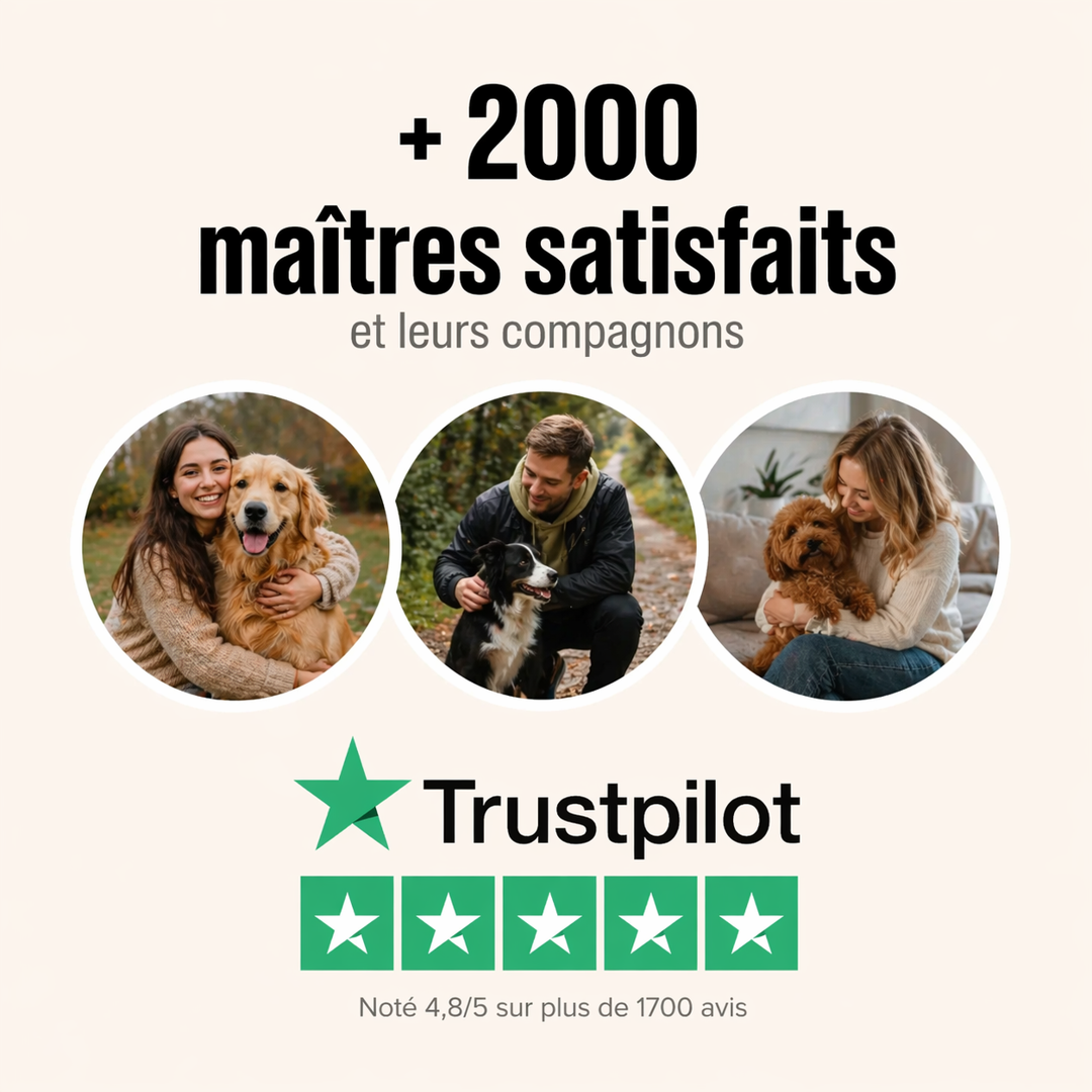 Canova™ – Soin & brossage nouvelle génération