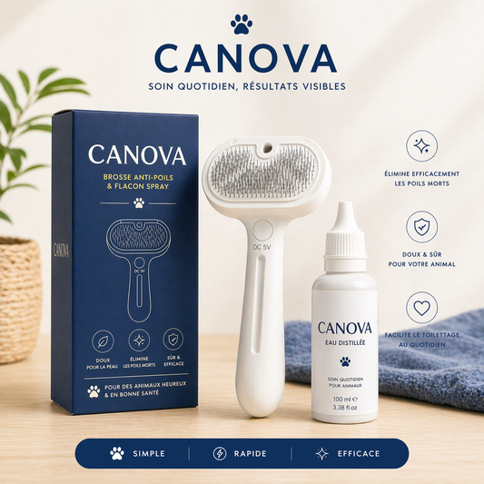 Canova™ – Soin & brossage nouvelle génération